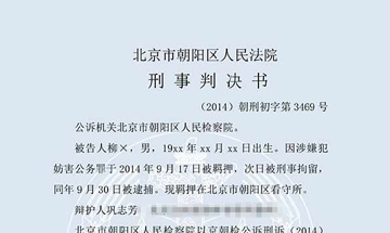 柳×妨害公务罪（一审）