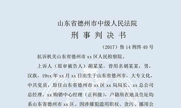 胡某某挪用公款、贪污（二审）