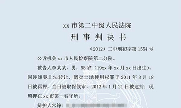 李某某非法经营罪（一审）