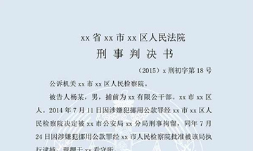 杨某挪用公款案（一审）
