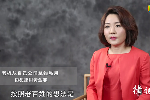 老板从自己公司拿钱私用，仍犯挪用资金罪【视频解说】
