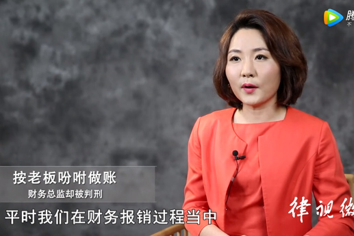 财务总监按照老板吩咐做账报销，却被判刑【视频解说】