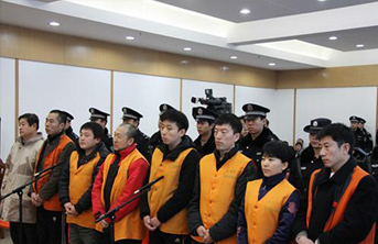 内蒙古万里大造林案原董事长等10人获刑
