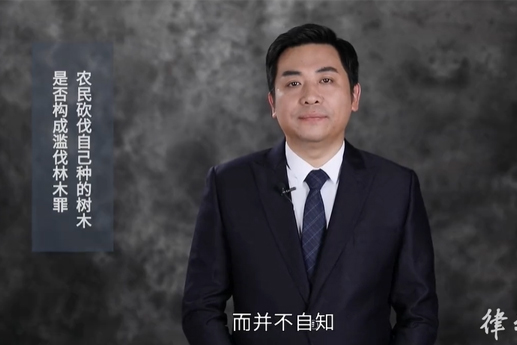 农民砍掉自己种的杨树，是否构成滥伐林木罪？