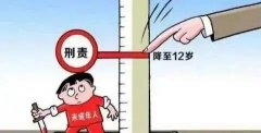 潘熠：未成年人刑责年龄下调后的查漏补缺