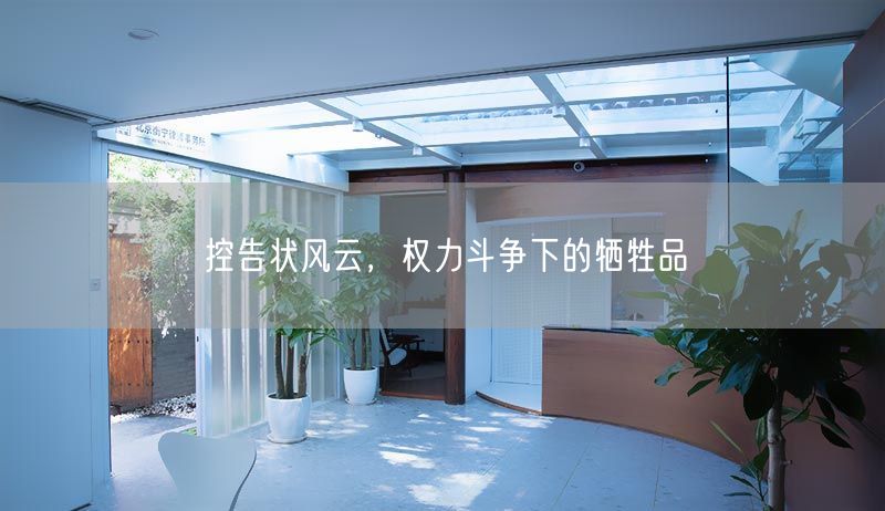 控告状风云，权力斗争下的牺牲品