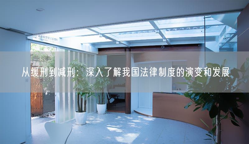 从缓刑到减刑：深入了解我国法律制度的演变和发展