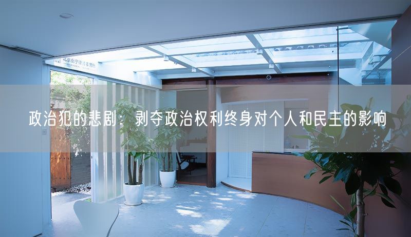 政治犯的悲剧：剥夺政治权利终身对个人和民主的影响