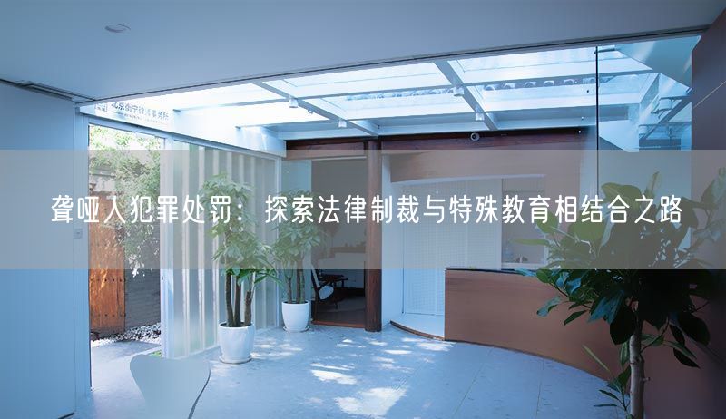 聋哑人犯罪处罚：探索法律制裁与特殊教育相结合之路