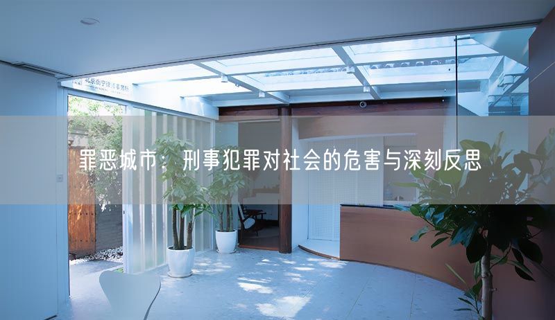 罪恶城市：刑事犯罪对社会的危害与深刻反思